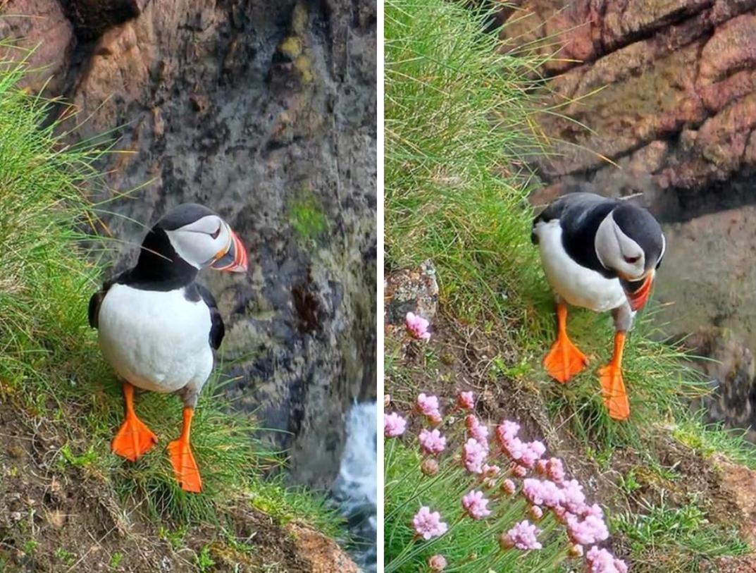 Room On The River Cruden Bay 外观 照片